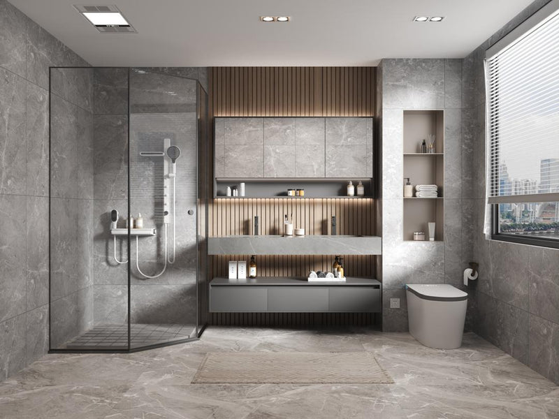 Luxury crafted designs of toilet